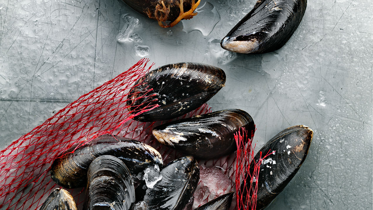 Ett rött plastnät med färska blåmusslor i sina skal. Symboliserar grundsmaken umami.