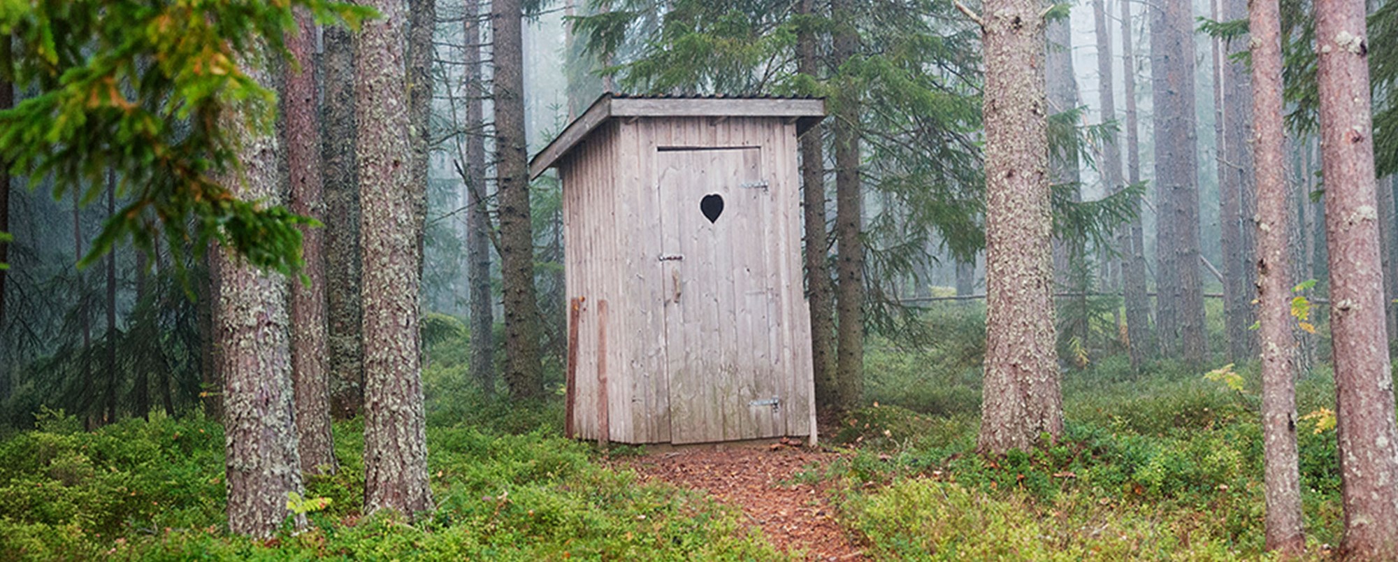 Utedass i granskogen