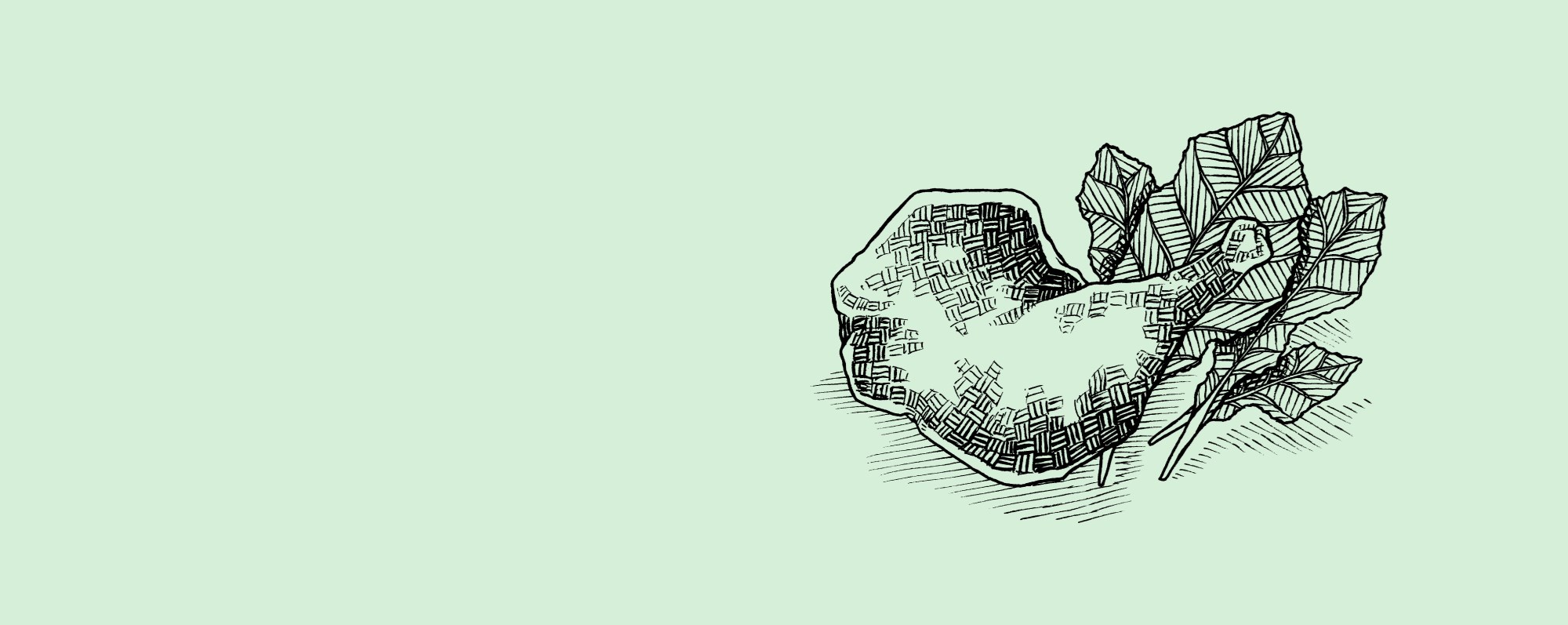 Illustration av kycklinglår mot grön bakgrund.