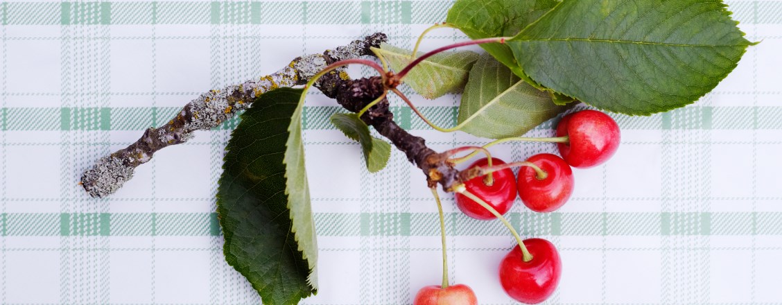Cherry zip