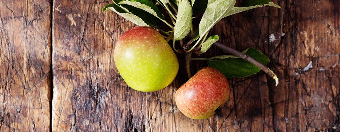 Temperance apple mojito