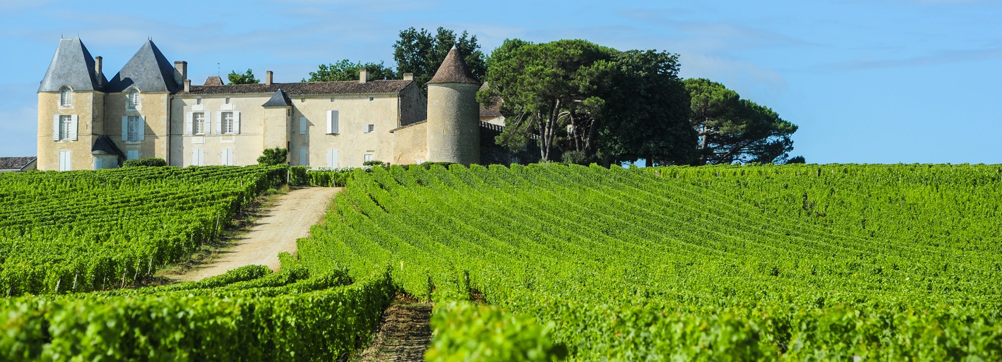 Graves och Pessac-Léognan