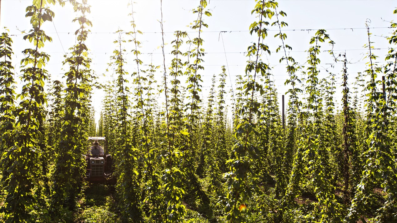humlegård med liten traktor 