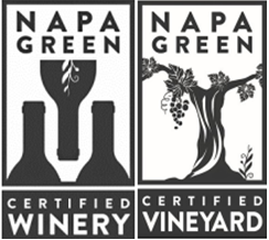 Napagreen logga.png