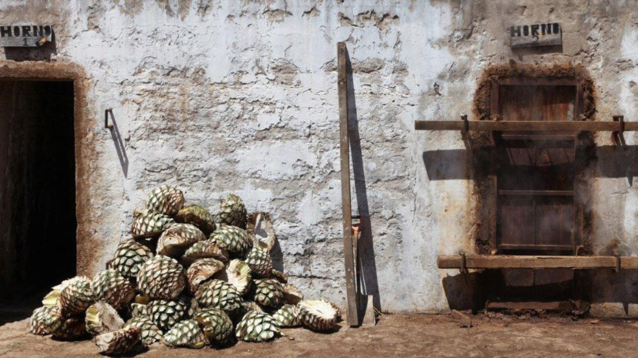 Bitar av agave-piña som liknar ananans utanför en traditionell, murad och vitkalkadugn.