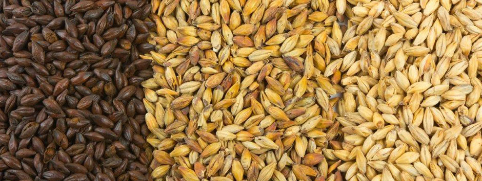 M&ouml;rkt rostad, brunsvart malt bredvid syllengul f&auml;rgmalt och till v&auml;nster ljus pilsnermalt.
